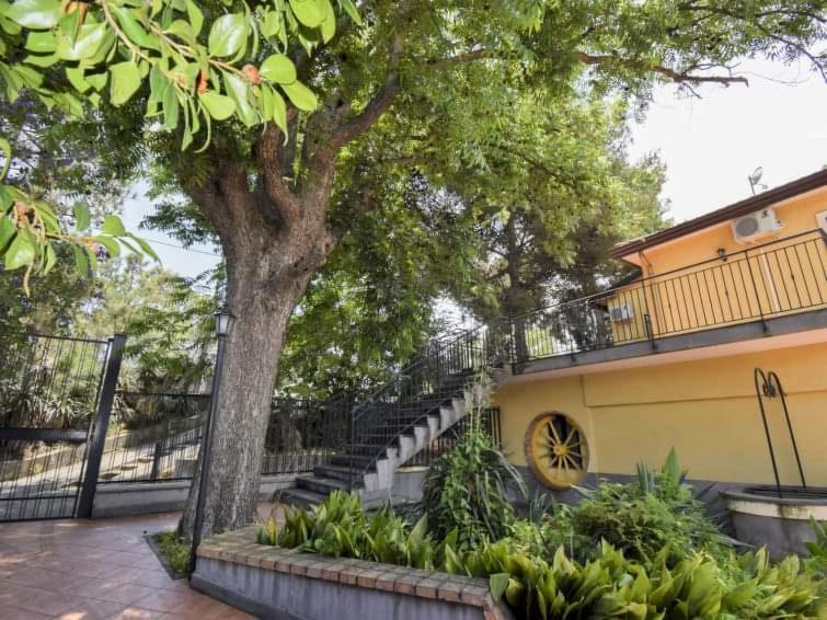 מסקלי Villa Anna מראה חיצוני תמונה
